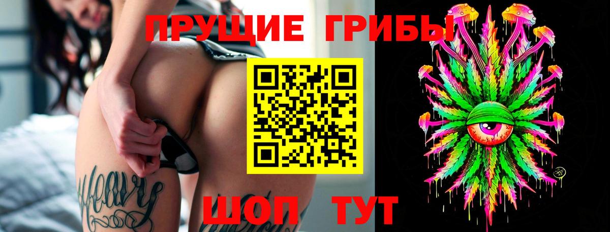 Галлюциногенные грибы MAGIC MUSHROOMS  Вход с VPN  Балашиха 