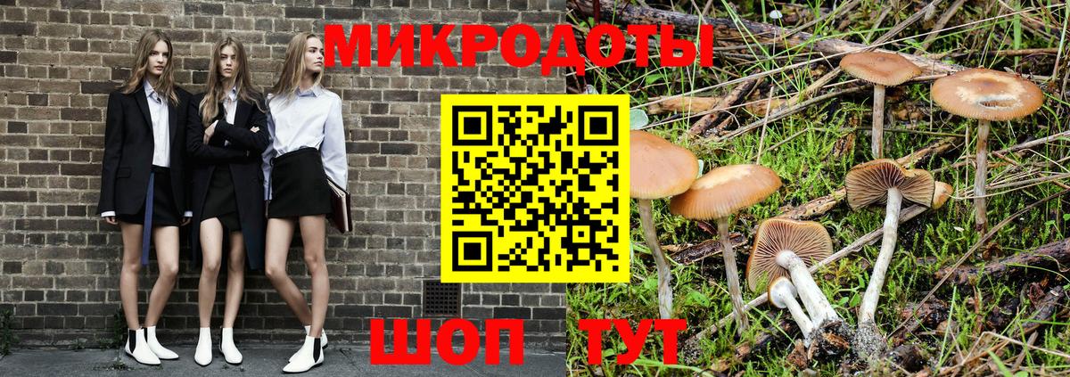 Псилоцибиновые грибы Psilocybine cubensis Балашиха