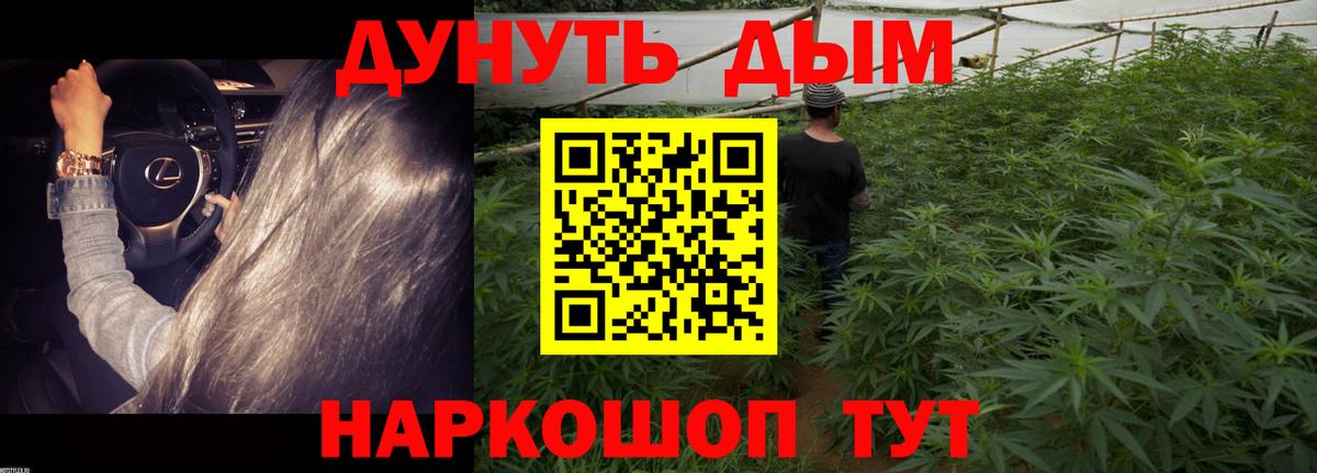 Конопля White Widow  Вход с VPN  Бошки Шишки тримм  Каннабис VHQ  Балашиха 